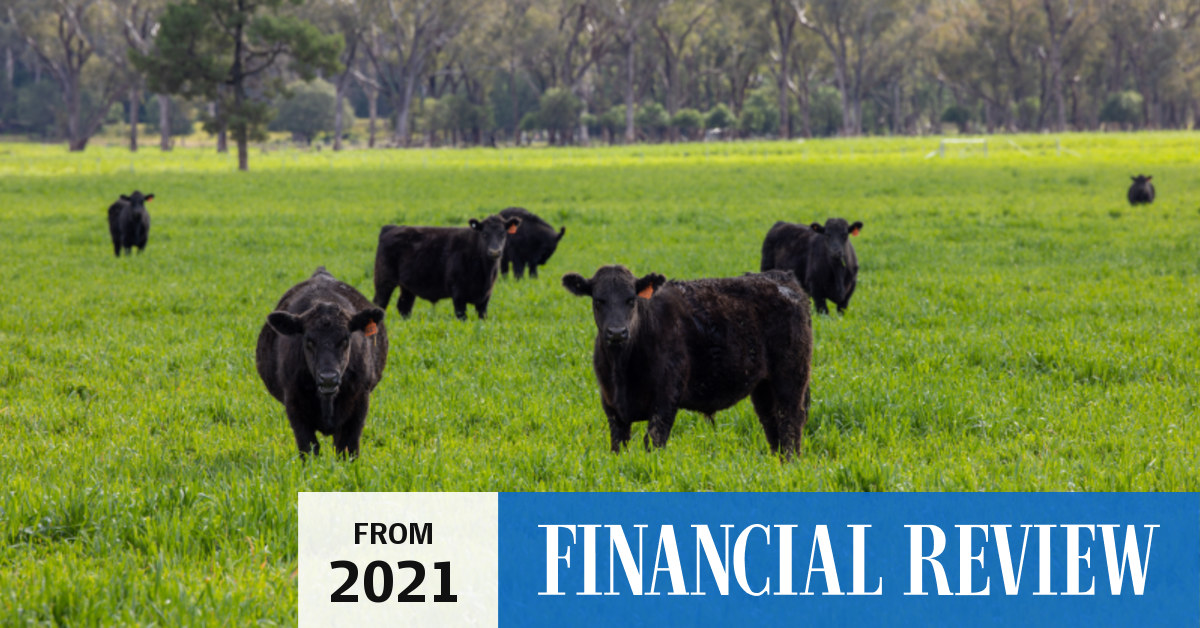 Coalfired land sale set to net Shenhua more than 120m